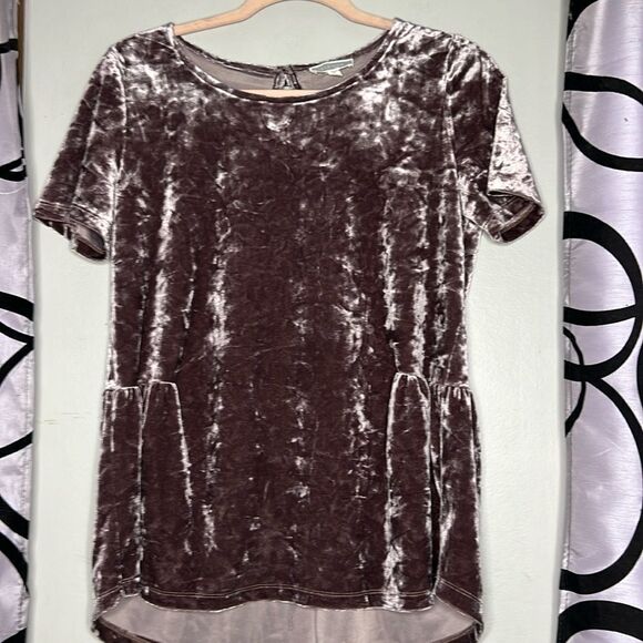 Pleione plum color crushed velvet top - Picture 1 of 9